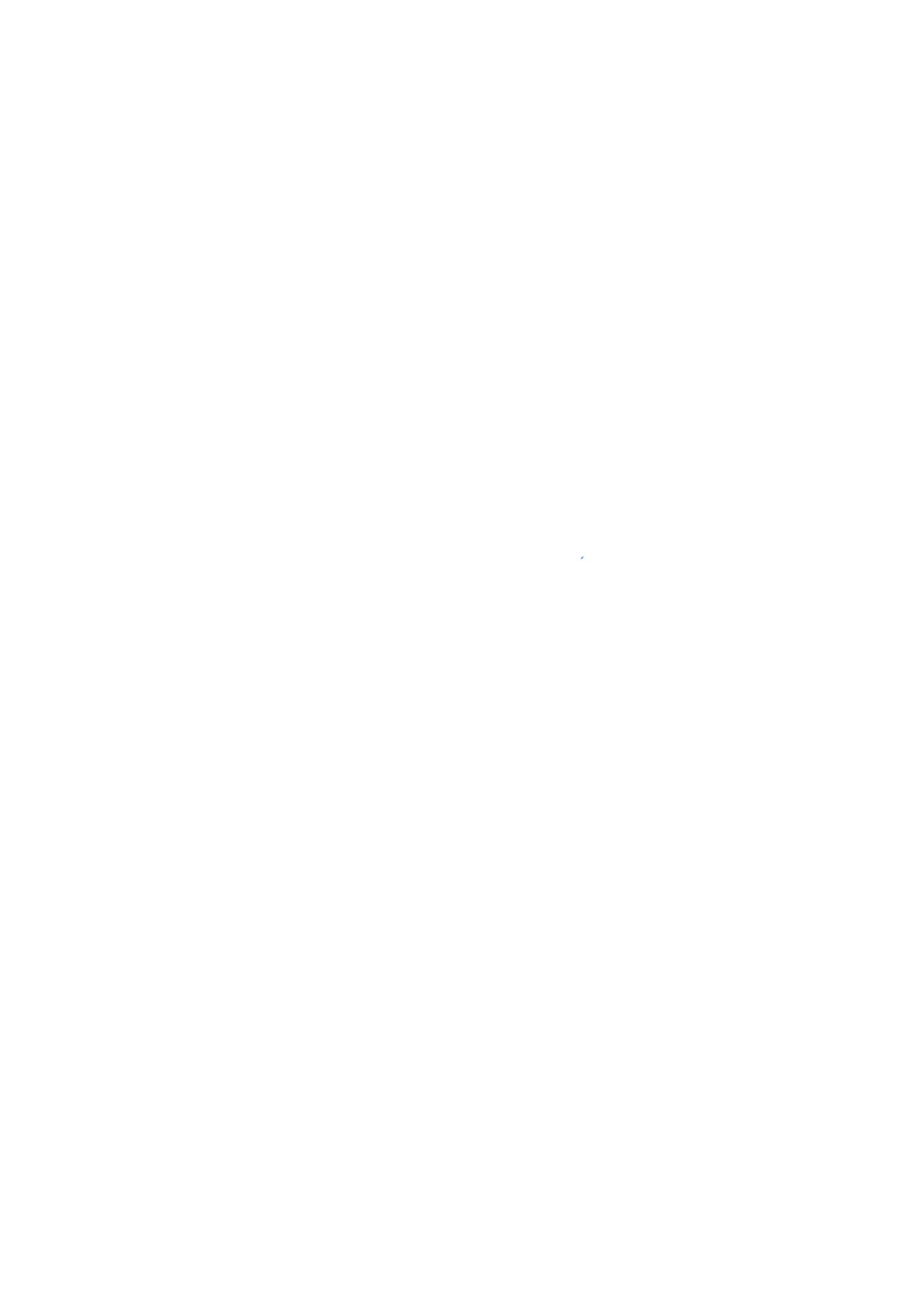 make a wish logo