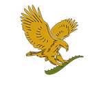 ForeverLiving-Logo01